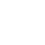 cat-studio