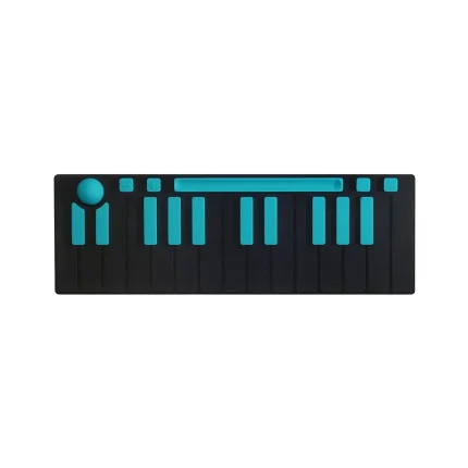 میدی کنترلر جویی Joué Grand Clavier