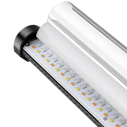 نور Pixel Feras L