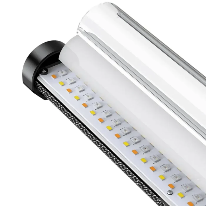 نور Pixel Feras L