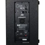 Peavey PVS 12 SUB - تصویر 2
